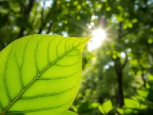 Jak ustawić biurko w pokoju dziecka? Praktyczne porady i wskazówki