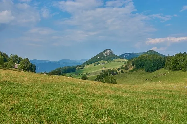 Jura Krakowsko-Częstochowska - raj dla aktywnych