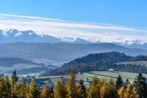 Kto wynalazł żarówkę? Historia i ciekawostki o wynalazku